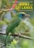 Birds of sri lanka