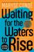 Waiting for the waters to rise
