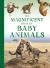 Magnificent book of baby animals