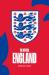 The official England annual 2024