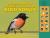 A First Book of Unique Australian Bird Songs