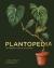 Plantopedia : the definitive guide to houseplants