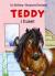 Teddy i huset