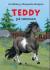Teddy på rømmen