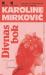 Divnas bok : roman