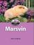 Marsvin