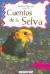 Cuentos de la selva