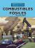 Combustibles Fósiles (Fossil Fuels)