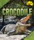 Saltwater Crocodile