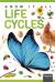 Life Cycles