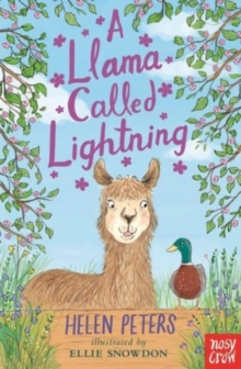 Llama called lightning